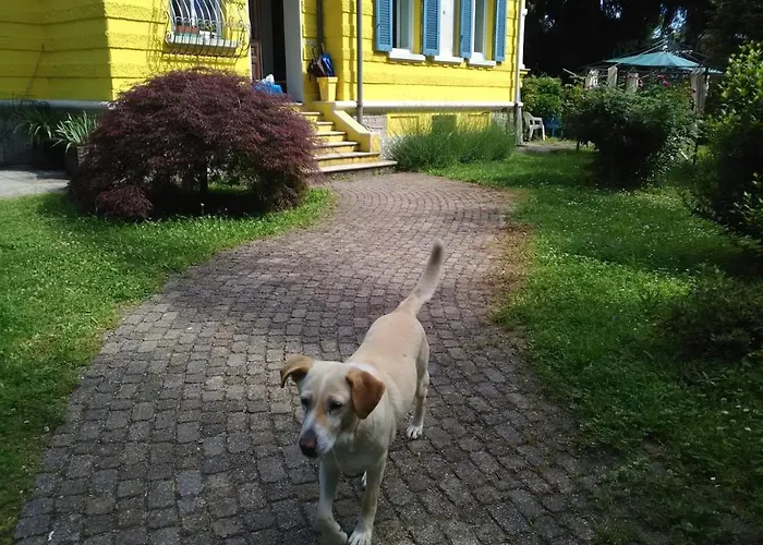 Casa Yin E Yang شقة